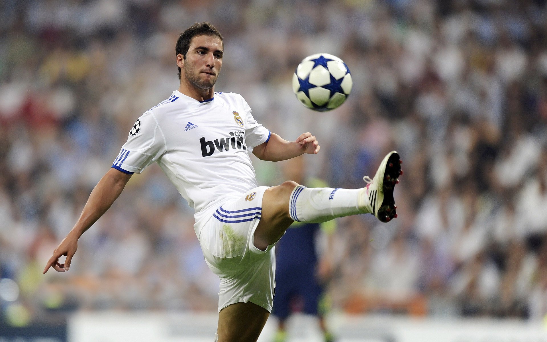 欧洲杯裁判技术支持系统得到升级并首次应用，欧洲杯决赛裁判选派